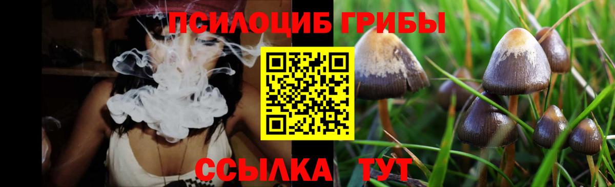 Чапаевск  Псилоцибиновые грибы ЛСД  Вход с VPN 